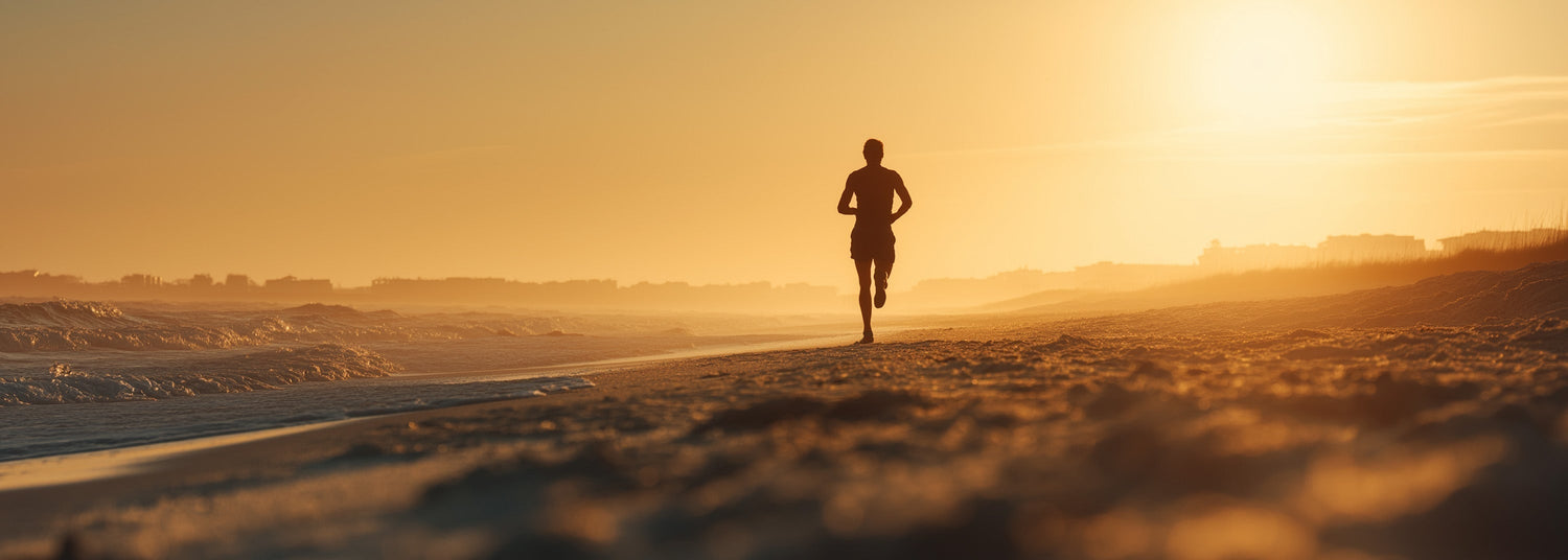 Fit blijven tijdens je reis met ZEUZ