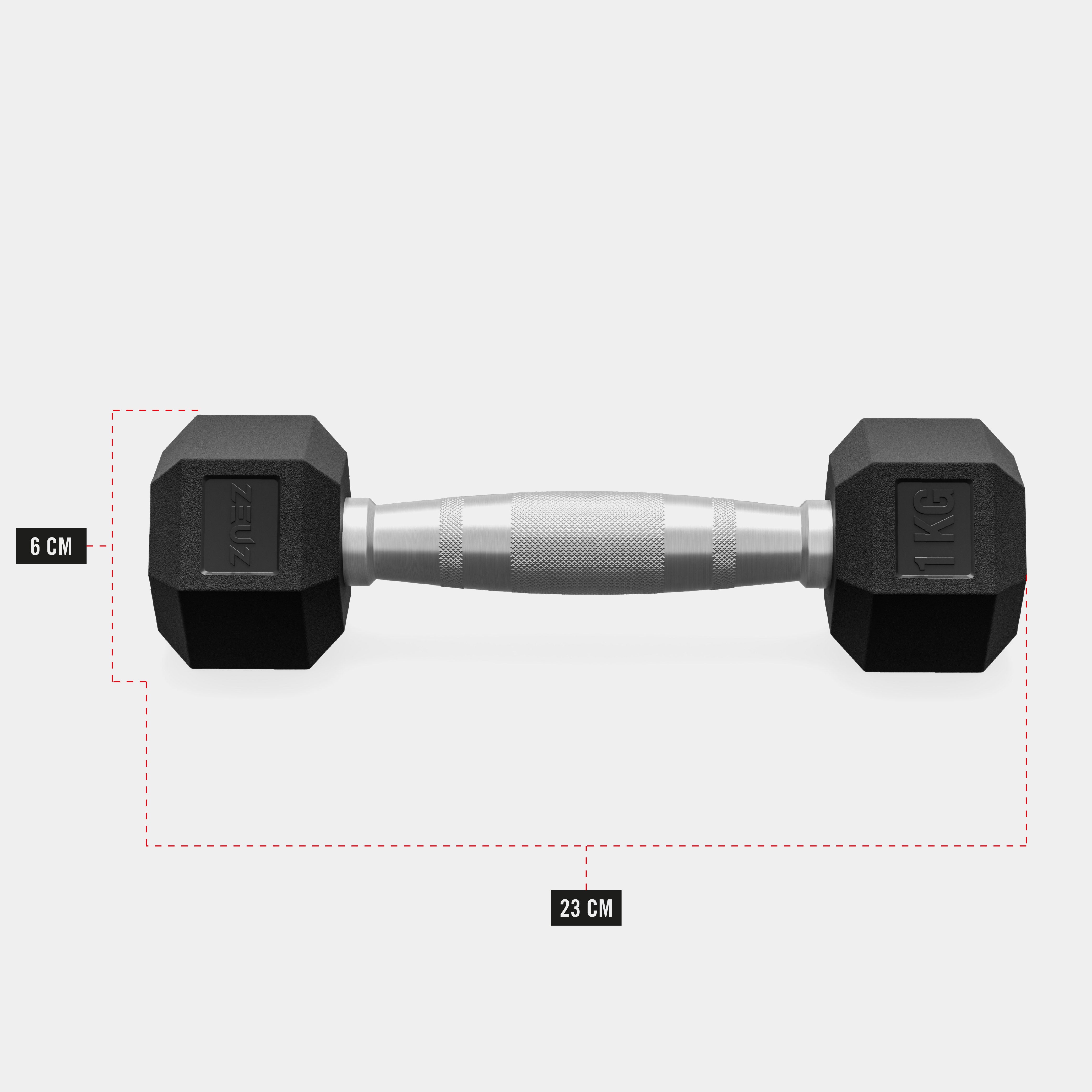 ZEUZ Haltères hexagonaux