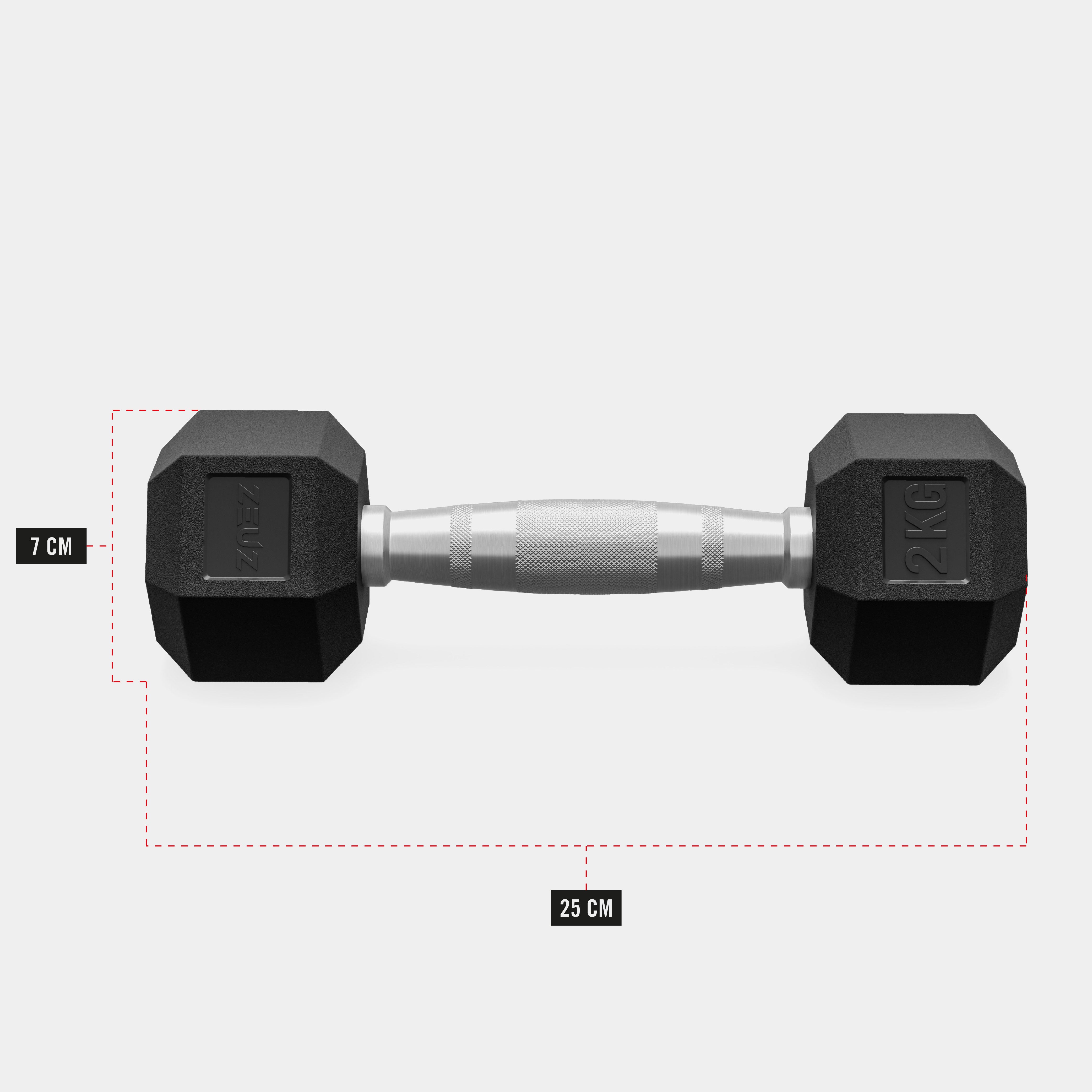 ZEUZ Haltères hexagonaux